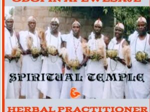 THE BEST POWERFUL SPIRITUAL HERBALIST IN NIG